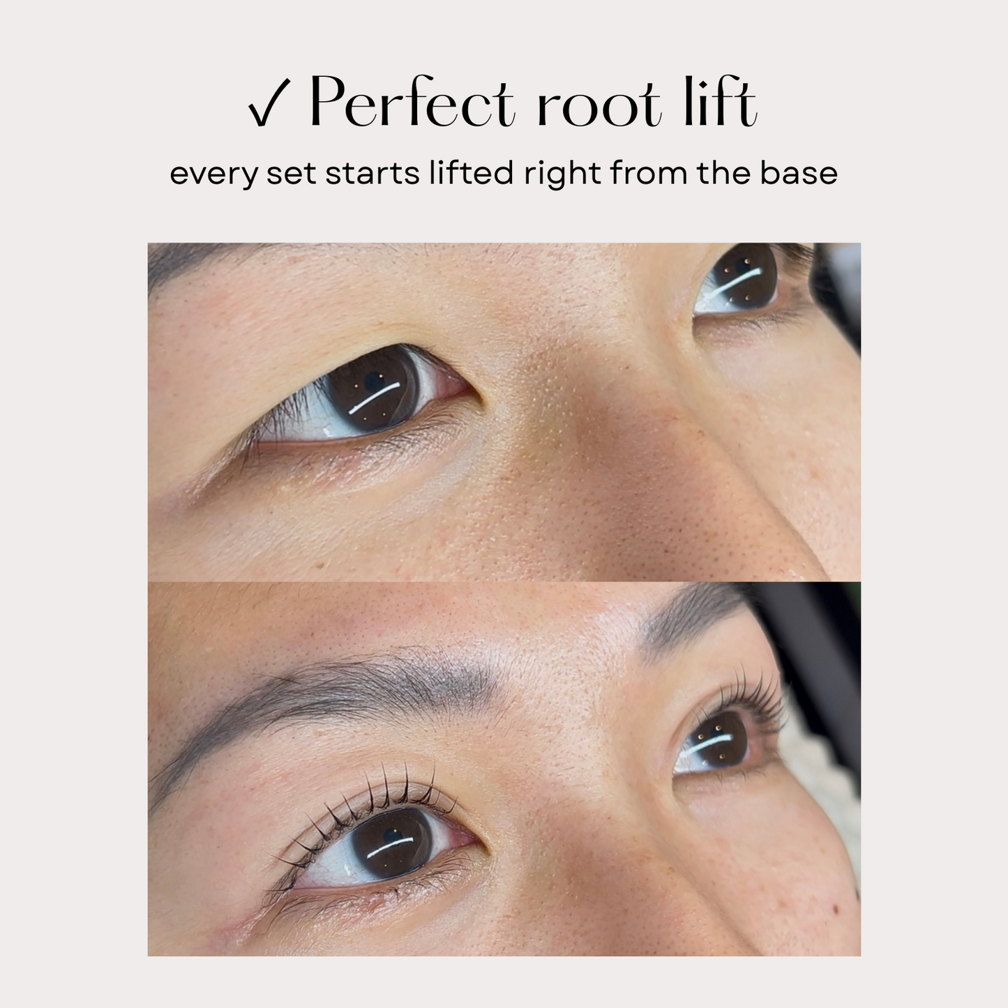 Signature Korean Lash Lift  Mini Masterclass